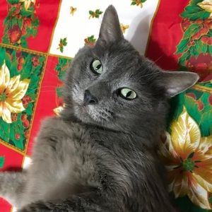 Meet your Posher, Lila